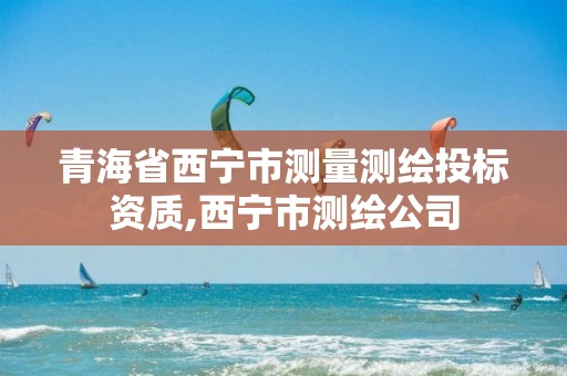 青海省西宁市测量测绘投标资质,西宁市测绘公司