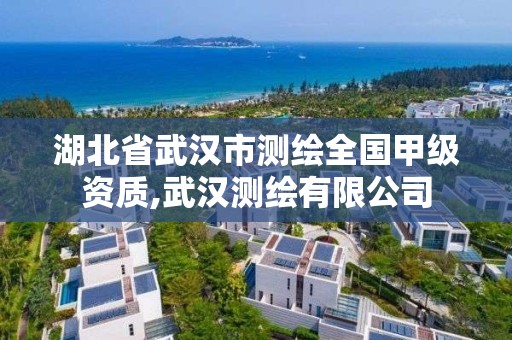 湖北省武汉市测绘全国甲级资质,武汉测绘有限公司