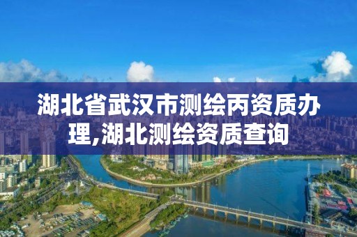 湖北省武汉市测绘丙资质办理,湖北测绘资质查询