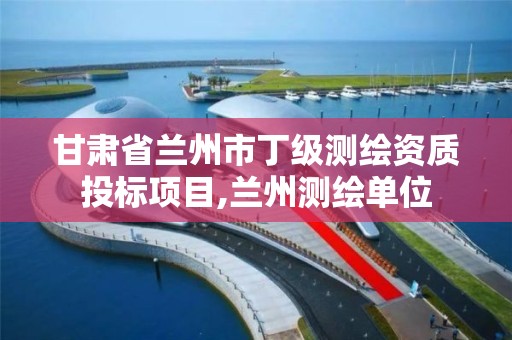 甘肃省兰州市丁级测绘资质投标项目,兰州测绘单位