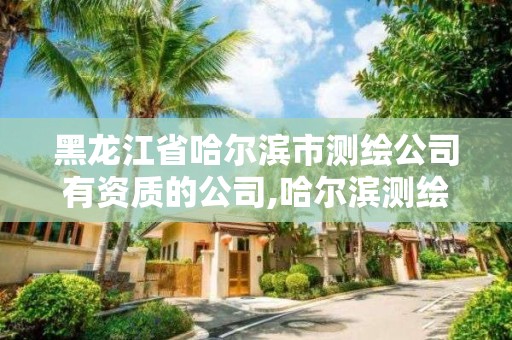 黑龙江省哈尔滨市测绘公司有资质的公司,哈尔滨测绘内业招聘信息。