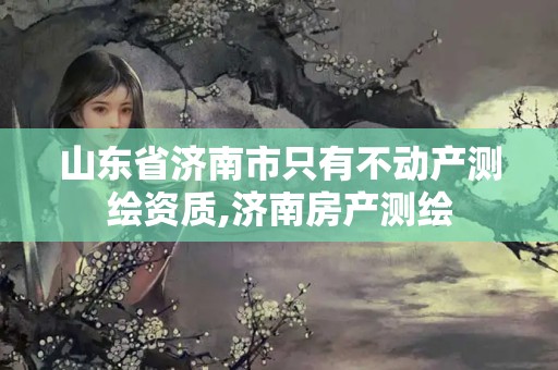 山东省济南市只有不动产测绘资质,济南房产测绘