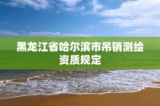 黑龙江省哈尔滨市吊销测绘资质规定