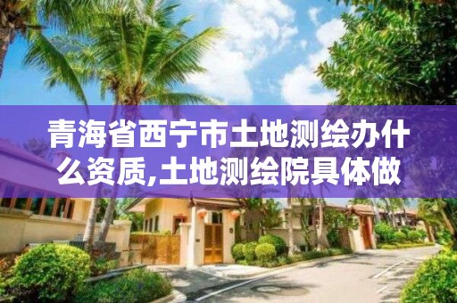 青海省西宁市土地测绘办什么资质,土地测绘院具体做什么的