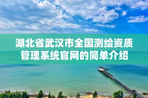 湖北省武汉市全国测绘资质管理系统官网的简单介绍