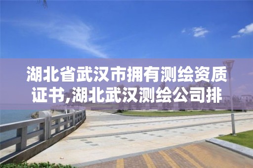 湖北省武汉市拥有测绘资质证书,湖北武汉测绘公司排行榜