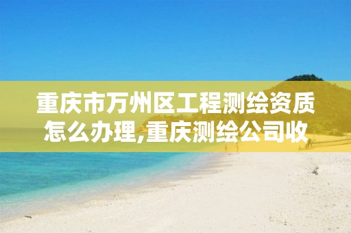 重庆市万州区工程测绘资质怎么办理,重庆测绘公司收费标准