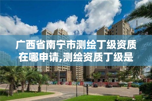 广西省南宁市测绘丁级资质在哪申请,测绘资质丁级是什么意思