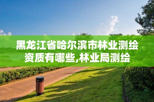 黑龙江省哈尔滨市林业测绘资质有哪些,林业局测绘