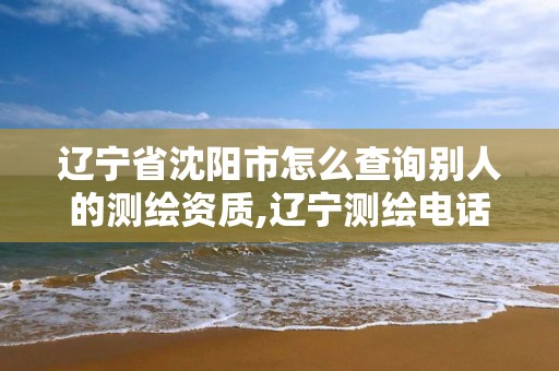 辽宁省沈阳市怎么查询别人的测绘资质,辽宁测绘电话