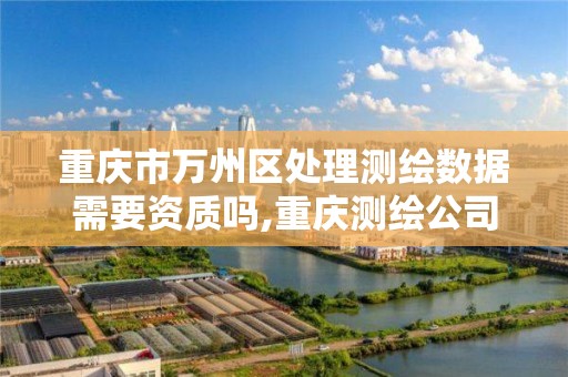 重庆市万州区处理测绘数据需要资质吗,重庆测绘公司收费标准