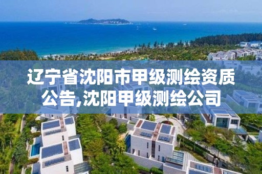 辽宁省沈阳市甲级测绘资质公告,沈阳甲级测绘公司