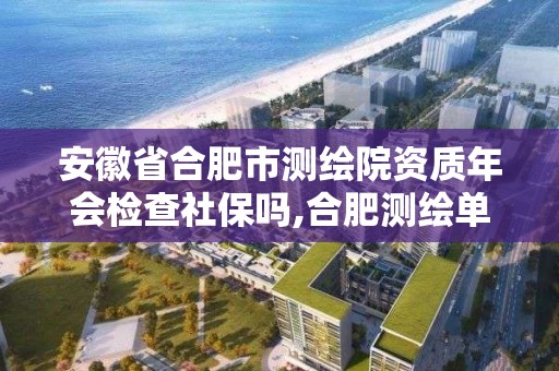 安徽省合肥市测绘院资质年会检查社保吗,合肥测绘单位