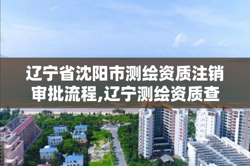 辽宁省沈阳市测绘资质注销审批流程,辽宁测绘资质查询