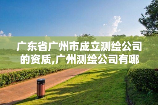 广东省广州市成立测绘公司的资质,广州测绘公司有哪些