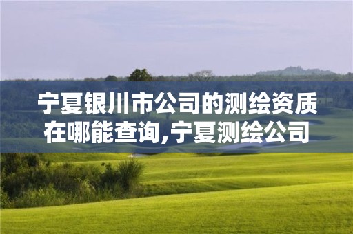 宁夏银川市公司的测绘资质在哪能查询,宁夏测绘公司有哪几家。