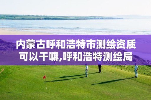 内蒙古呼和浩特市测绘资质可以干嘛,呼和浩特测绘局电话