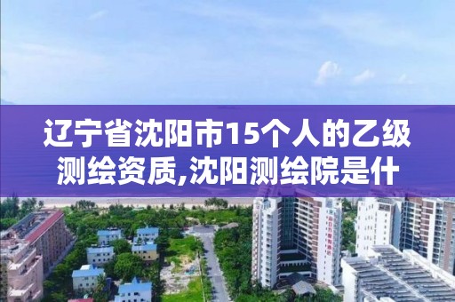 辽宁省沈阳市15个人的乙级测绘资质,沈阳测绘院是什么单位。