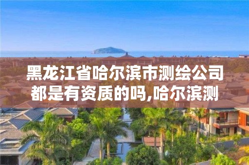 黑龙江省哈尔滨市测绘公司都是有资质的吗,哈尔滨测绘勘察研究院怎么样。