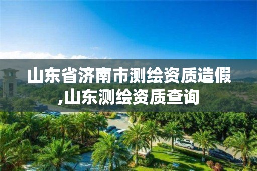 山东省济南市测绘资质造假,山东测绘资质查询