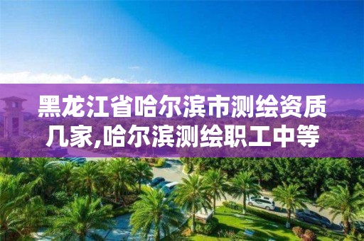 黑龙江省哈尔滨市测绘资质几家,哈尔滨测绘职工中等专业学校