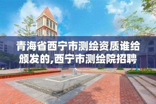 青海省西宁市测绘资质谁给颁发的,西宁市测绘院招聘公示。