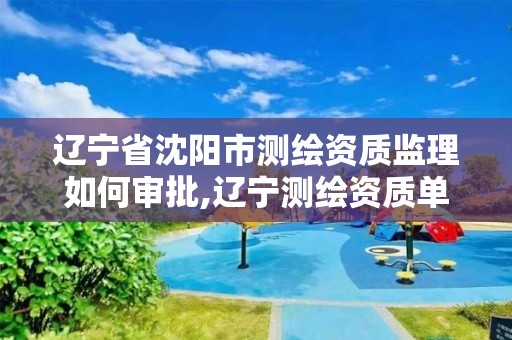 辽宁省沈阳市测绘资质监理如何审批,辽宁测绘资质单位