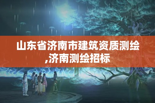 山东省济南市建筑资质测绘,济南测绘招标