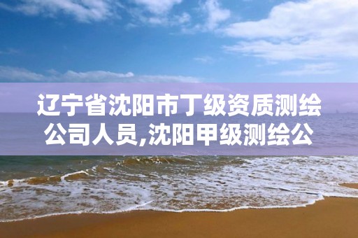 辽宁省沈阳市丁级资质测绘公司人员,沈阳甲级测绘公司