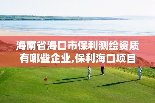 海南省海口市保利测绘资质有哪些企业,保利海口项目