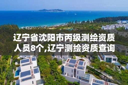 辽宁省沈阳市丙级测绘资质人员8个,辽宁测绘资质查询。