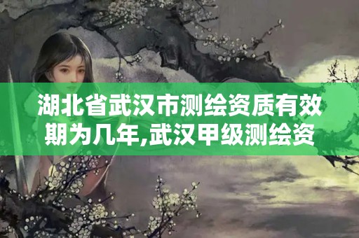 湖北省武汉市测绘资质有效期为几年,武汉甲级测绘资质名录。