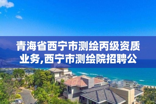 青海省西宁市测绘丙级资质业务,西宁市测绘院招聘公示