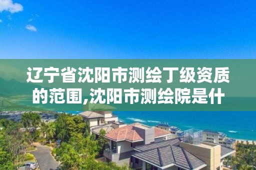 辽宁省沈阳市测绘丁级资质的范围,沈阳市测绘院是什么单位