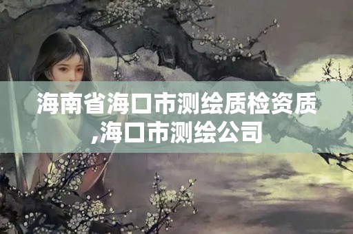 海南省海口市测绘质检资质,海口市测绘公司