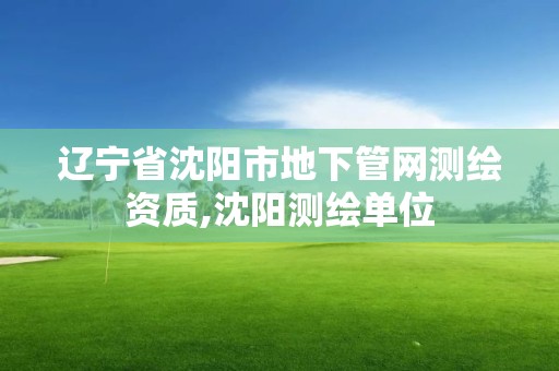 辽宁省沈阳市地下管网测绘资质,沈阳测绘单位