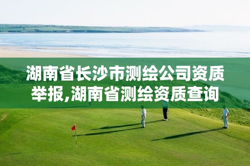 湖南省长沙市测绘公司资质举报,湖南省测绘资质查询