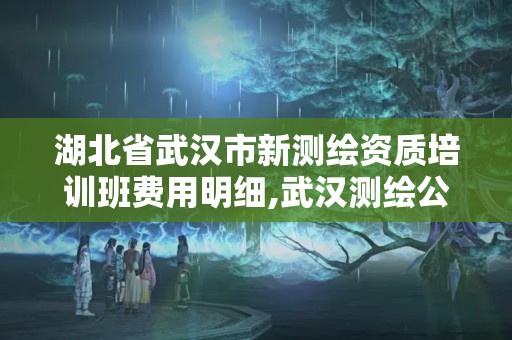 湖北省武汉市新测绘资质培训班费用明细,武汉测绘公司有哪些。