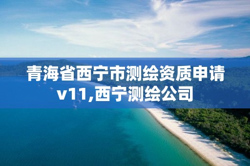 青海省西宁市测绘资质申请v11,西宁测绘公司