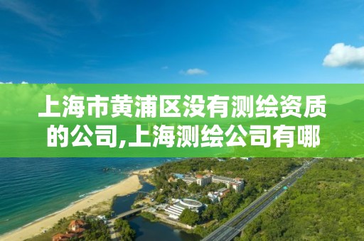 上海市黄浦区没有测绘资质的公司,上海测绘公司有哪几家