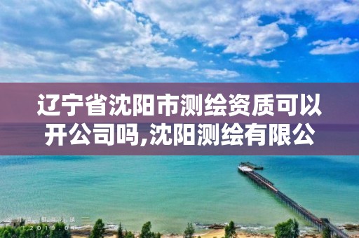 辽宁省沈阳市测绘资质可以开公司吗,沈阳测绘有限公司