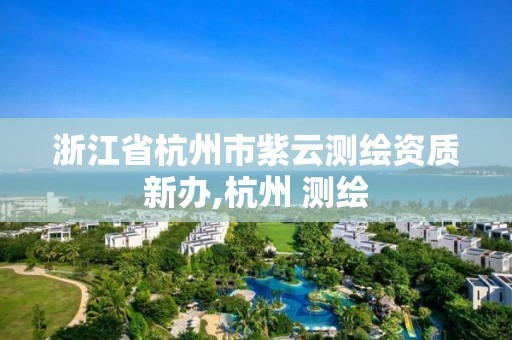 浙江省杭州市紫云测绘资质新办,杭州 测绘