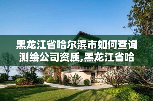 黑龙江省哈尔滨市如何查询测绘公司资质,黑龙江省哈尔滨市测绘局