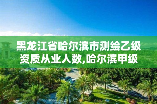 黑龙江省哈尔滨市测绘乙级资质从业人数,哈尔滨甲级测绘公司