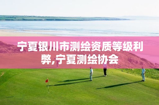 宁夏银川市测绘资质等级利弊,宁夏测绘协会