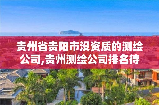 贵州省贵阳市没资质的测绘公司,贵州测绘公司排名待遇