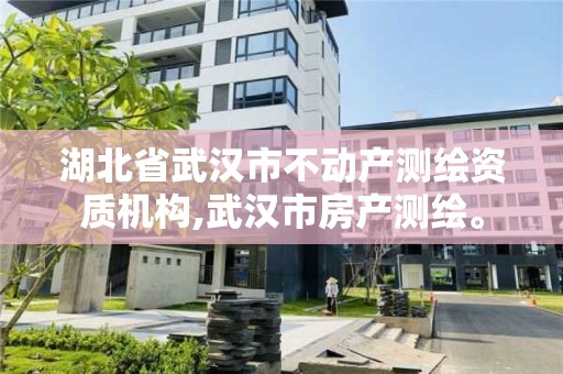 湖北省武汉市不动产测绘资质机构,武汉市房产测绘。