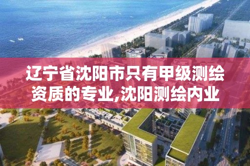 辽宁省沈阳市只有甲级测绘资质的专业,沈阳测绘内业招聘