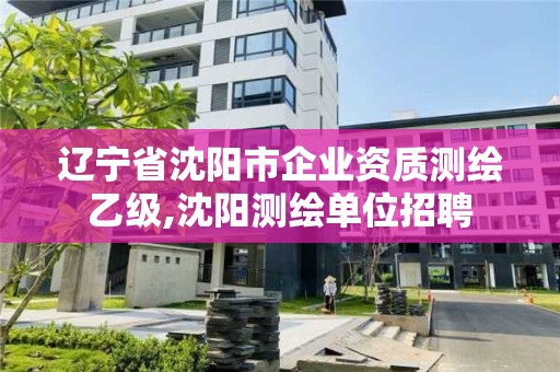 辽宁省沈阳市企业资质测绘乙级,沈阳测绘单位招聘