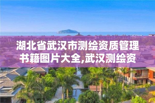 湖北省武汉市测绘资质管理书籍图片大全,武汉测绘资质代办。